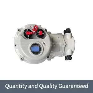 Rotoque Multi Turn Gate Valves Are Split High Temperature Resistant Actuators thumbnail-2