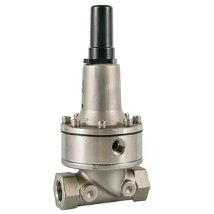 Hot Selling Pressure Relief Small Pilot Valve thumbnail-2