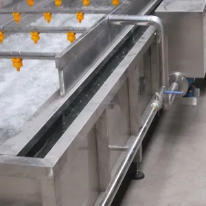 1000KG/H Capacity Rotary Washing Machine for Fruits & Vegetables Processing Line thumbnail-4