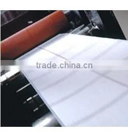 Polypropylene Film Adhesive Label thumbnail-1
