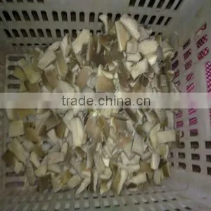 Frozen Oyster Mushroom thumbnail-1
