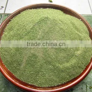 ULVA SEA LECTTUCE Seaweed thumbnail-1