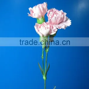 Pure and Mild Flavor Promotional 2015 Carnation thumbnail-1