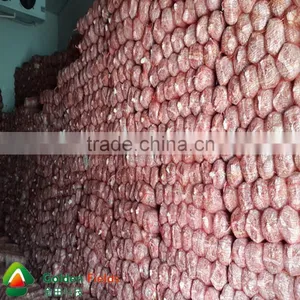 Decent Price Newest Wholesale Chaga Mushroom thumbnail-3