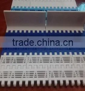 SS & Plastic Slat Chain Conveyor Belts thumbnail-4