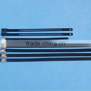 Offer Stainless Steel Lock Ball Ties/SS CABLE TIES (material:304-201-316 ) 12*850 thumbnail-1