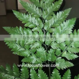 Home Decor Fresh Leather Leaves Fern For Wedding Leather Process Plant Fern thumbnail-3