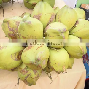 Desiccated Coconut -High Fat -Medium Grade thumbnail-1