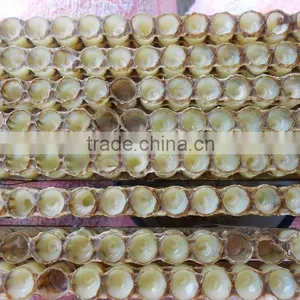 Lyophisized Royal Jelly Powder thumbnail-6