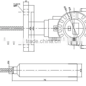 Immersion Type Level Sensor With LED Local Display thumbnail-4
