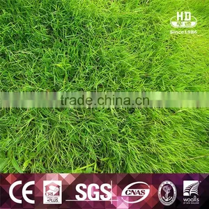 China Manufacturer PE Customized Artificial Grass Garden thumbnail-4