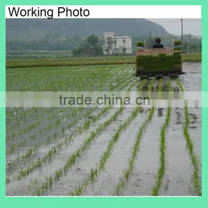 Philippine Diesel 6 Rows Rice Transplanter Price thumbnail-4