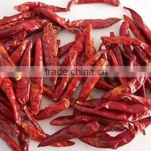Indian Chilli for Sale thumbnail-3