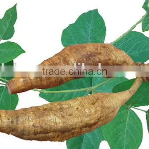 Manufacture High Quality Nutrition Factory Pueraria Lobata Powder,puerarin Powder thumbnail-1