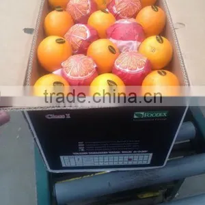 Egypt Orange thumbnail-2
