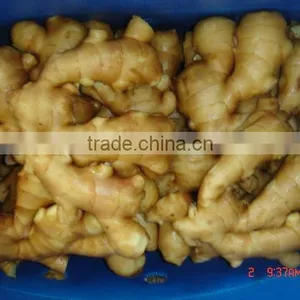 Organic Fresh Ginger thumbnail-1