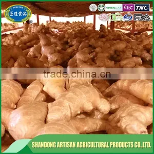 Air Dried Ginger thumbnail-2