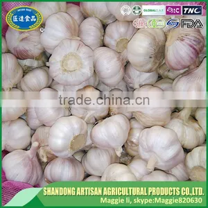 Export Ginger & Garlic 10kg and 20kg/mesh Bag thumbnail-1
