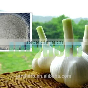 Organic Garlic Extract Powder thumbnail-1