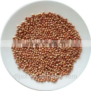 JSX Export Black Eyed Beans Different Size New Crop White Cowpeas thumbnail-4