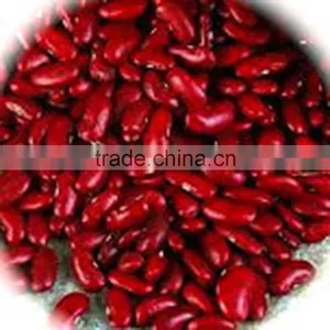JSX Cooking British Red Kidney Bean Round Shape Food Grade Red Kidney Bean thumbnail-1