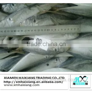 Price for Frozen Horse Mackerel Fish thumbnail-3
