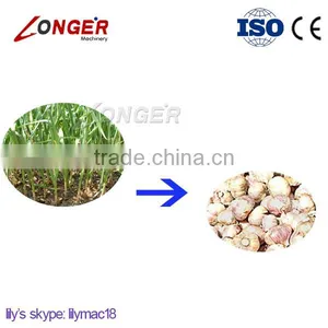 Factory Supply Potato/Garlic/Peanut Harvesting Machine With CE Certification thumbnail-2