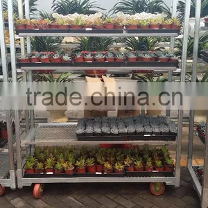 316 Conservatory Car Flower Transport Trolley Cart thumbnail-1