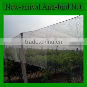 OEM Provided Kinds of Green Anti Invisible Bird Netting thumbnail-2