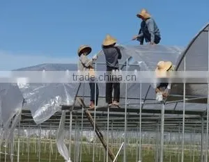 Woven pe Sheet Greenhouse Film uv Resistence Plastic Film thumbnail-1