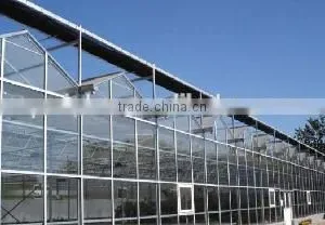 Artificial Intelligence Glass Greenhouse thumbnail-1