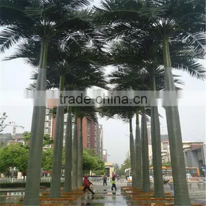 Plastic Fiber King Coconut Tree Green Park Artificial King Coconut Tree thumbnail-1