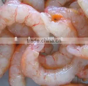 Red Shrimp Pud With Frozen thumbnail-4