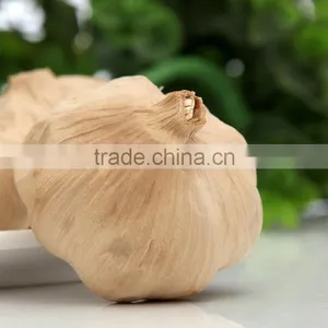 Many Heads Black Garlic P.E.--HC Company thumbnail-3