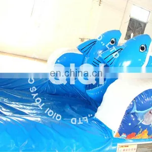 QIQI Inflatable Water Slide Cheap Giant Inflatable Water Slide for Adult thumbnail-5