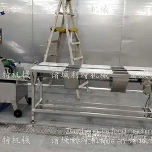 Clean Vegetable Water Washing Machine Clean Vegetable Eddy Current Cleaning Line Clean Vegetable Processing Equipment thumbnail-5