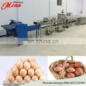 Hot Sale Egg Grader/egg Sorting Machine/egg Grading Machine thumbnail-6
