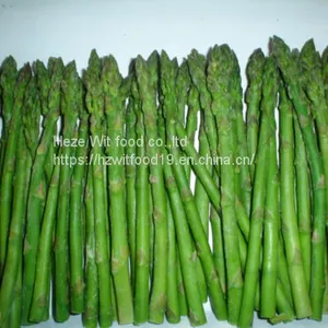 IQF Green Asparagus thumbnail-5