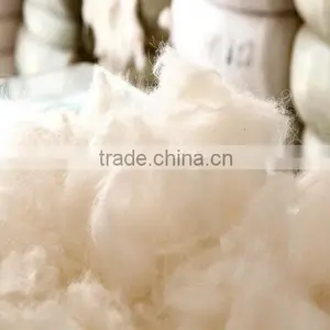c Cashmere thumbnail-1