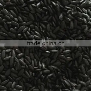 Organic Black Rice thumbnail-1