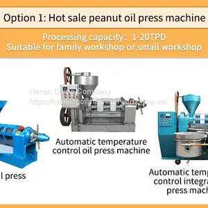 Home Use Groundnut Oil Expeller Groundnut Oil Production Machine Small Scale Groundnut Oil Processing Equipment thumbnail-1