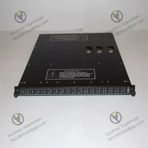 Triconex 3624 Input/output Module thumbnail-1