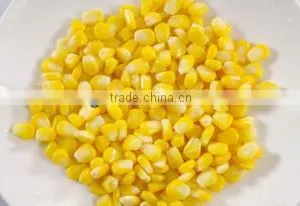 Stainless Steel Fresh Corn Shelling Machine thumbnail-4