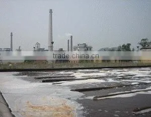 Waste Water Denitrification Treatment thumbnail-3