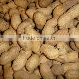 Chinese Raw Peanut in Shell thumbnail-1