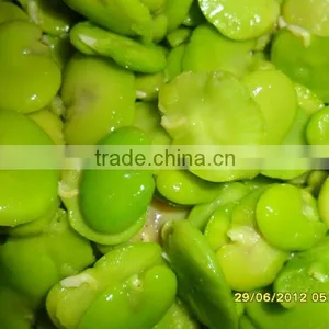 New Crop Frozen Broad Bean Kernel thumbnail-1