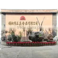 Jieyang Zhengying Foods Co., Ltd. company overview - view 2 thumbnail