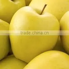 We Are Supply Fresh Golden Delicious With Best Prices for Sale thumbnail-5