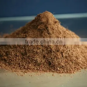 Best Price Cocopeat for Export From Vietnam thumbnail-1