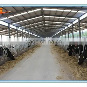 Prefabricated Building Steel Chicken Farm thumbnail-3